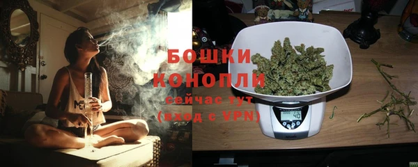 дживик Иннополис