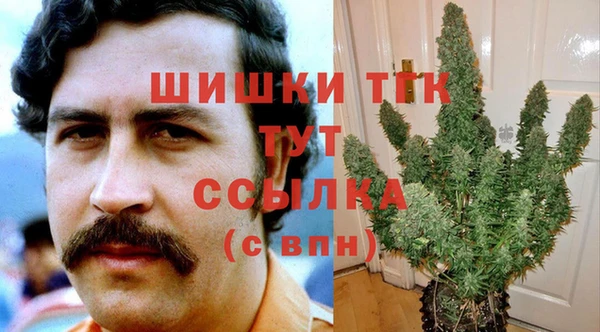 меф Инта