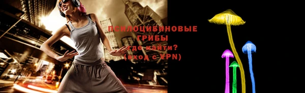 меф Инта