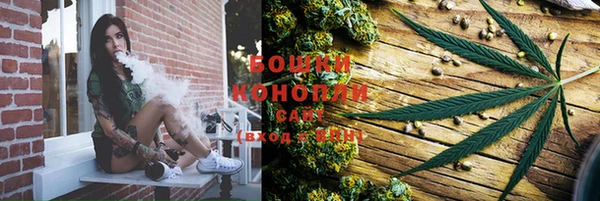 дживик Иннополис